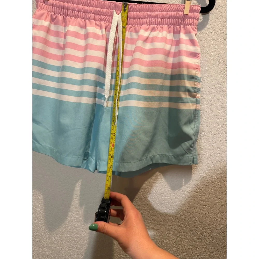 Chubbies Mens Swim Trunks Pink Blue Striped‎ Small